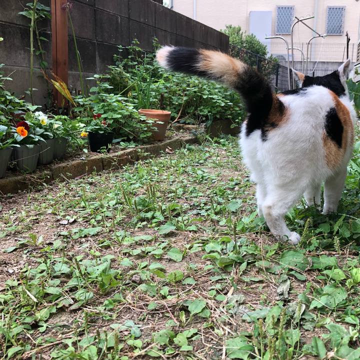 4f8e2777 cc2d 430e 846f e766dc7afd31 1602371864974