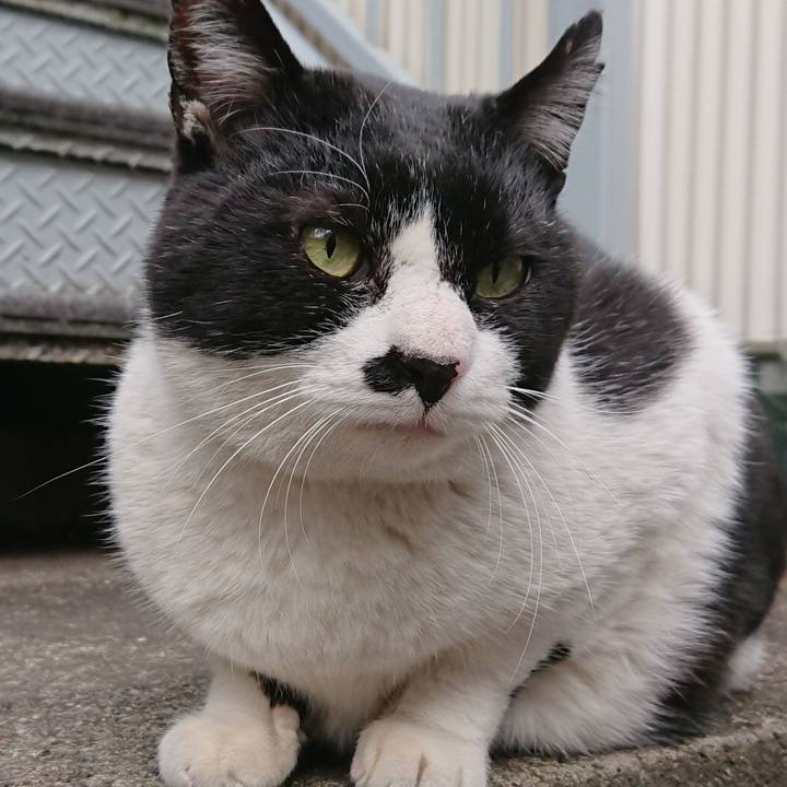 4f8e28f0 f844 4aba a63f 8360e3d1ab20 1550368236577