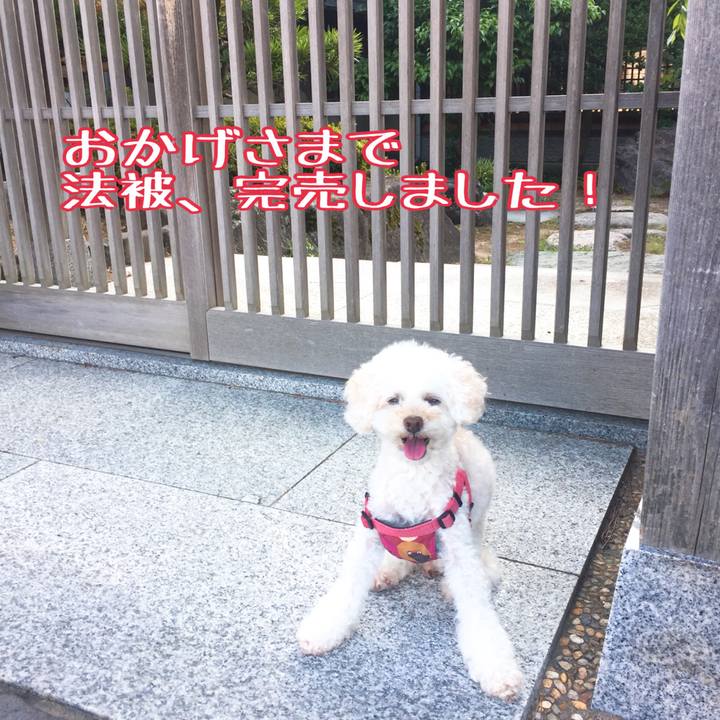 4f8e4473 5e9e 4ca2 9bf3 17d58e80490b 1533380123107