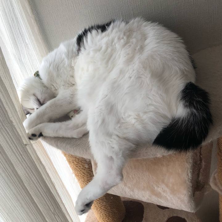 4f8e7b2f 0f49 4f39 8270 b57a06a39fac 1566624855273