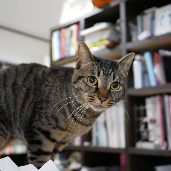 4f8e92f3 36cd 4eb5 972e 9a71cf31718c 1523280612155