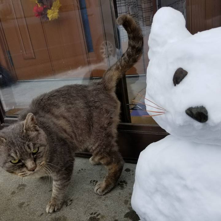 4f8eb0e0 6d23 41e3 95e6 7be90704e377 1515474606322