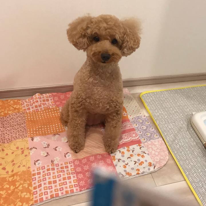 4f8ecdf5 02db 4bfe aa09 ae0b411d1d1e 1564669158095