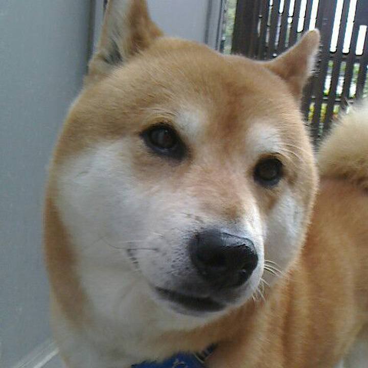 4f8f0c82 8b2e 4315 a7cd 9269efdf1613 1524627785044