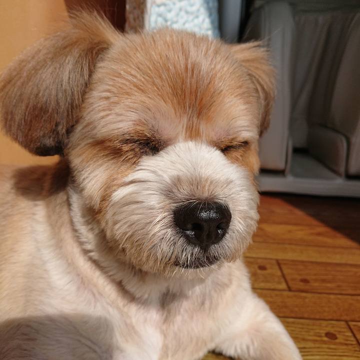 4f8f12c6 7575 45c3 bf88 ee09625c97f8 1596327598604