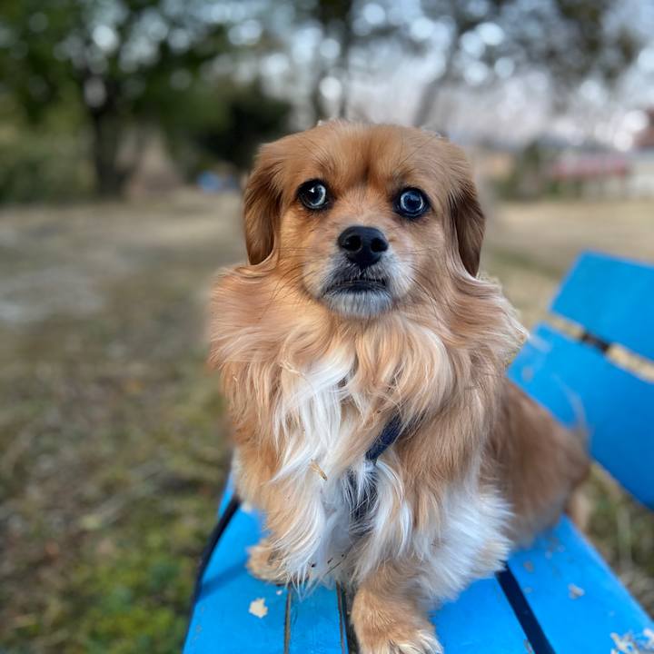 4f8f3b16 04b2 45a7 b545 18fa0fb9f4f6 1582755032918