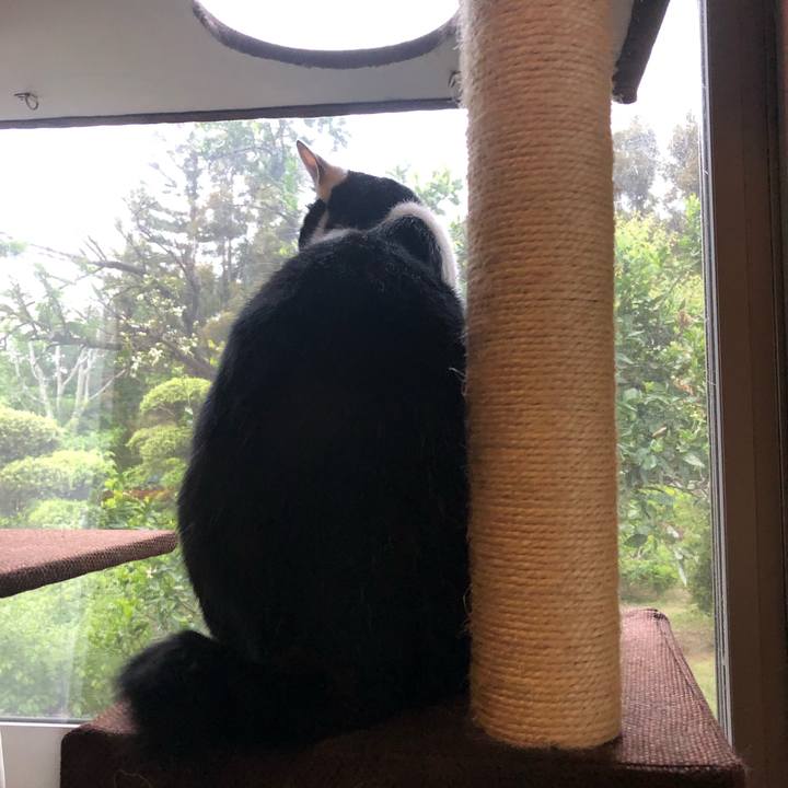 4f8f65d3 bfb5 45eb 8362 3e7540367c7f 1557864704400