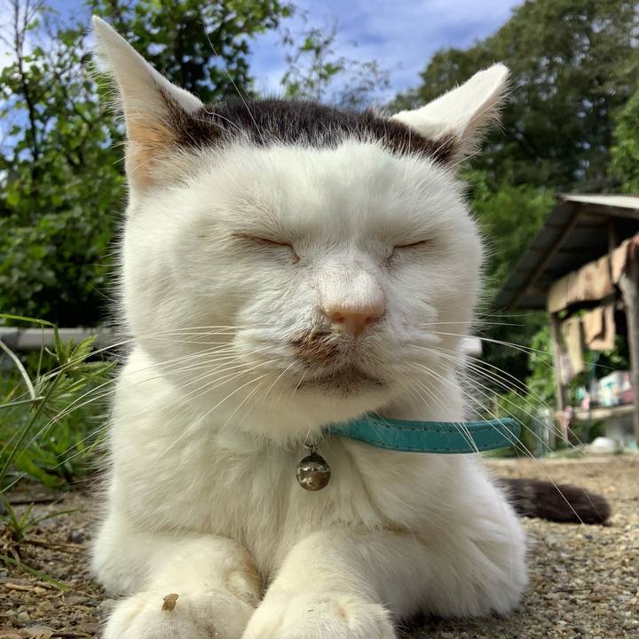 4f8f7c9c 3bb5 4a1b a47f b7a5561805a7 1631707669825