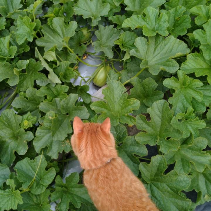 4f8f8fc7 901f 4314 aff7 de2ac5d97e74 1719569750437