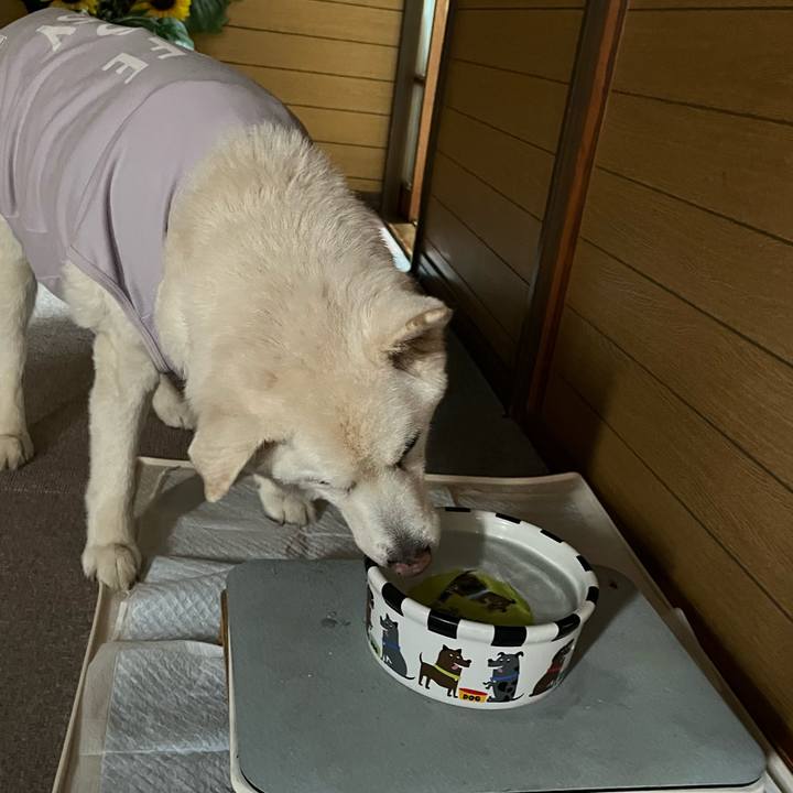 4f8f98ea 9804 4cfd b5ab 5ea871d5251d 1767656394943