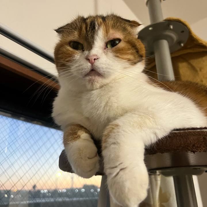 4f8f9ac8 c36a 4802 b45f 8865158b5d81 1697444580446