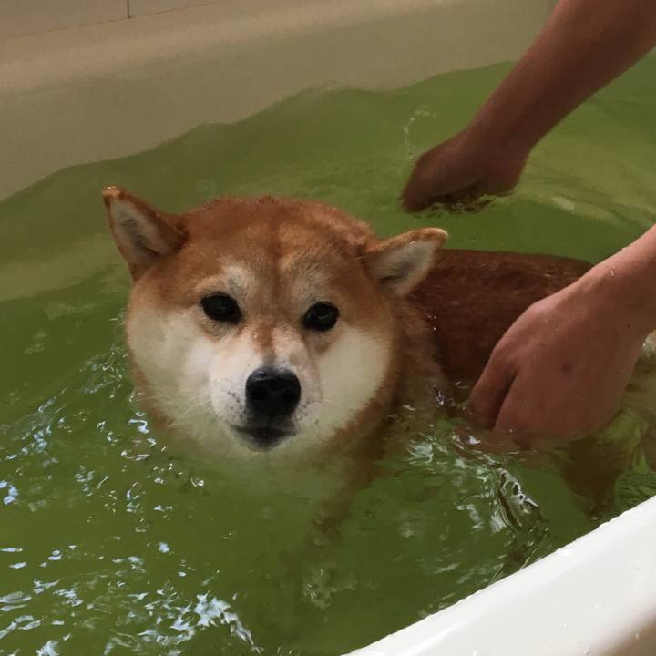 4f8fa7af c2c3 46df 8129 9ddf38e59626 1514254126100