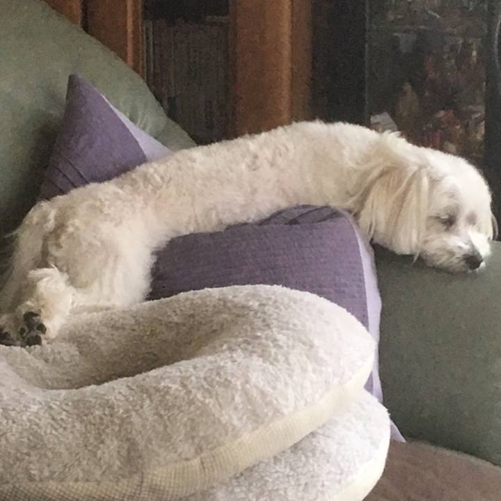 4f8fbeff e15c 4ec4 b39b 70098b8da5fb 1527552323212