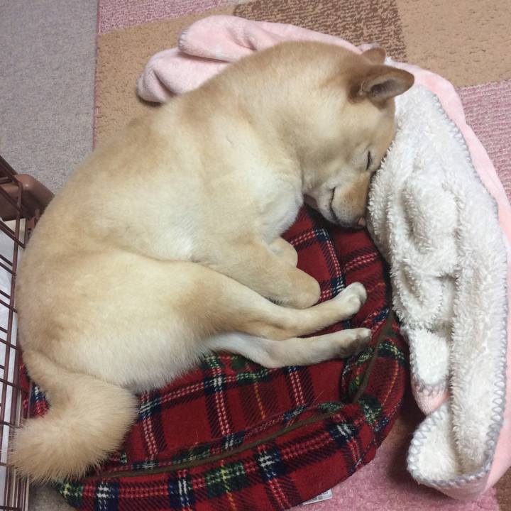 4f8fdc40 0735 44d6 82ae 8fd883dc48d6 1550925849187