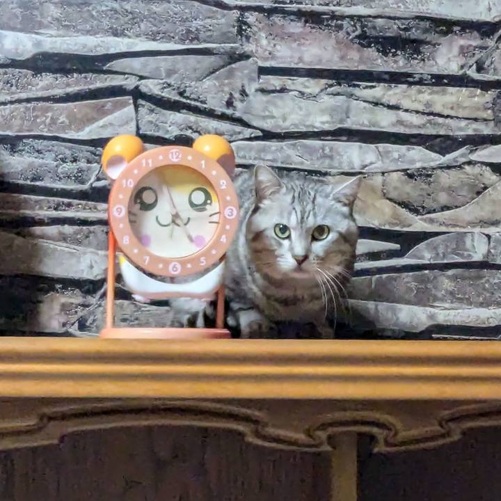 4f901b0b 0209 471e 99fe 8a328536bf3b 1734163081270