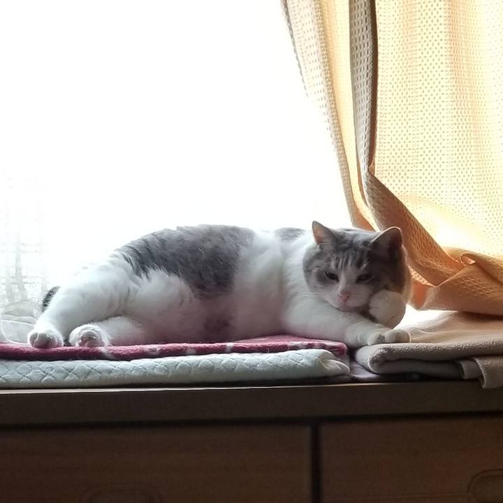 4f906350 9a9d 404f a0e6 2378a673e3b1 1656990447353