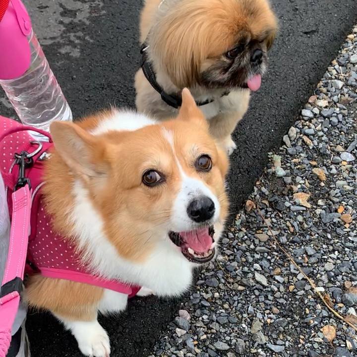 4f907462 68c9 4655 85ea e97bb2f93722 1630646214448