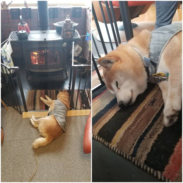 4f907fc3 8824 4776 b69a c58935e949df 1647471344322