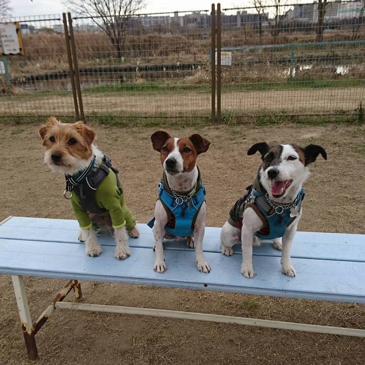 4f90904f cd7c 426a 86c5 c64c8f0d7f83 1609915991796