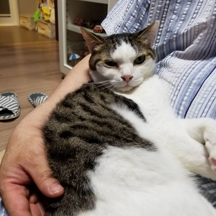 4f90f8be 5bb7 4925 a481 da3ca43c5891 1621684336996