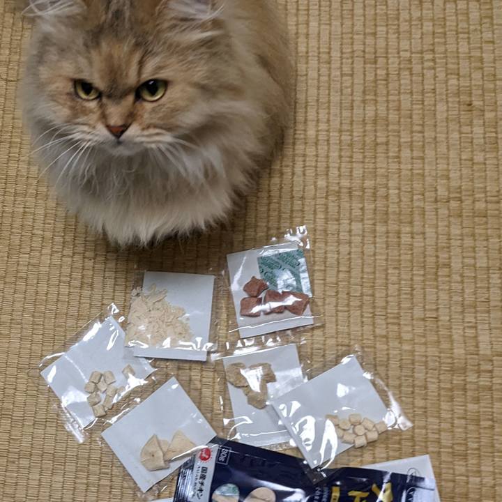 4f910334 d1e3 42e3 9aaa 506f1a1d2f61 1664331693504