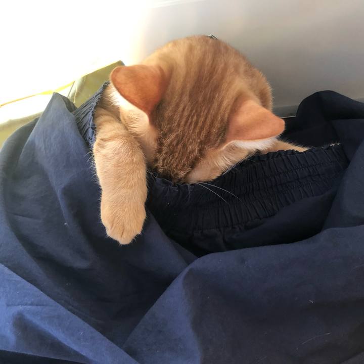 4f912ad8 3d05 48a1 ac94 ce91e284ef7a 1637096676413