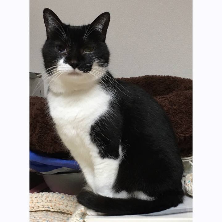 4f912b03 6915 4301 801f fa9c54263386 1523701479025