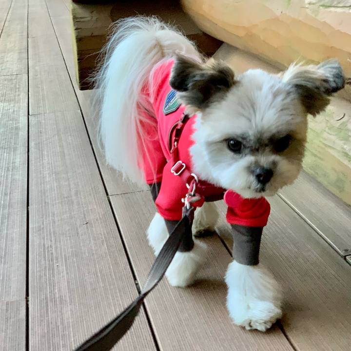 4f914fd9 634b 4556 89ad f9e6744aedba 1611043440147