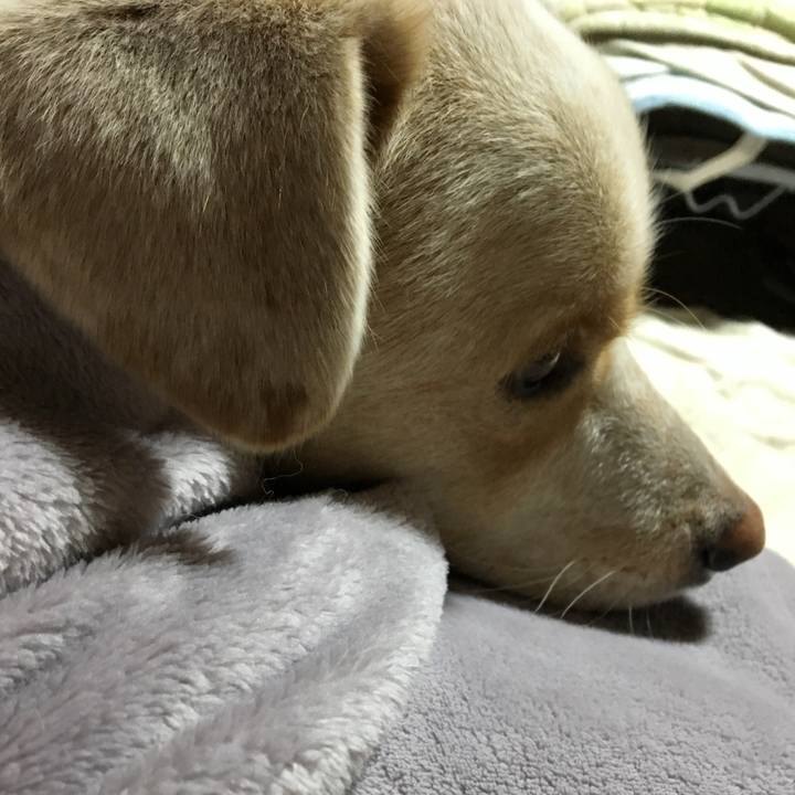 4f917217 88b0 496f b973 422e311989d6 1515669412220