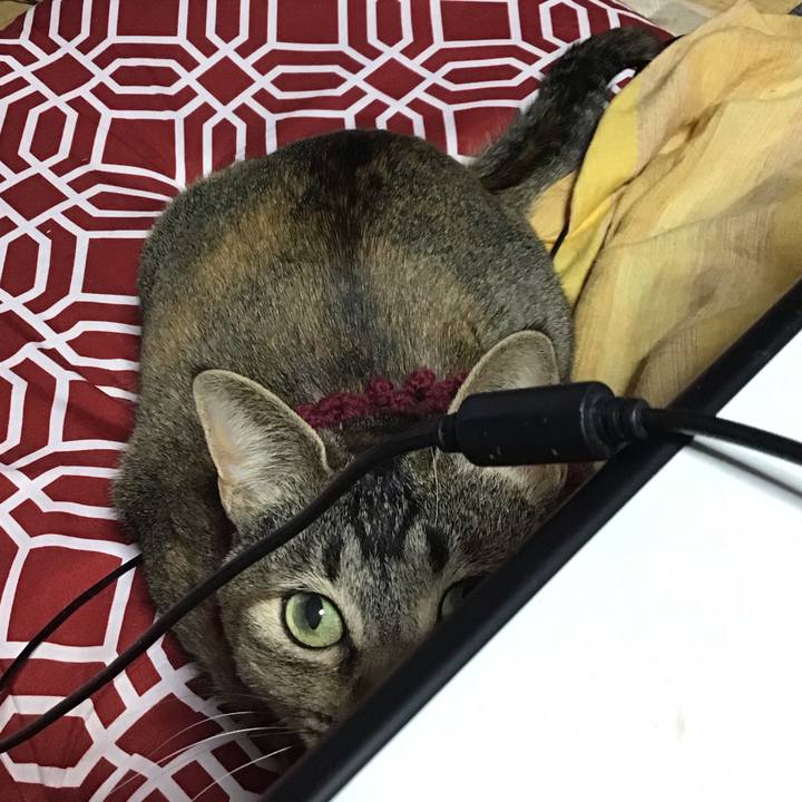 4f918852 ba8b 496d 87f5 dede40e04b4d 1614669597135