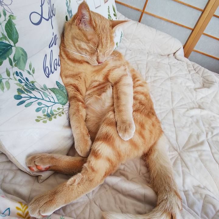 4f919031 ae00 4b2c 9e48 d4b5ec95c648 1562392185394