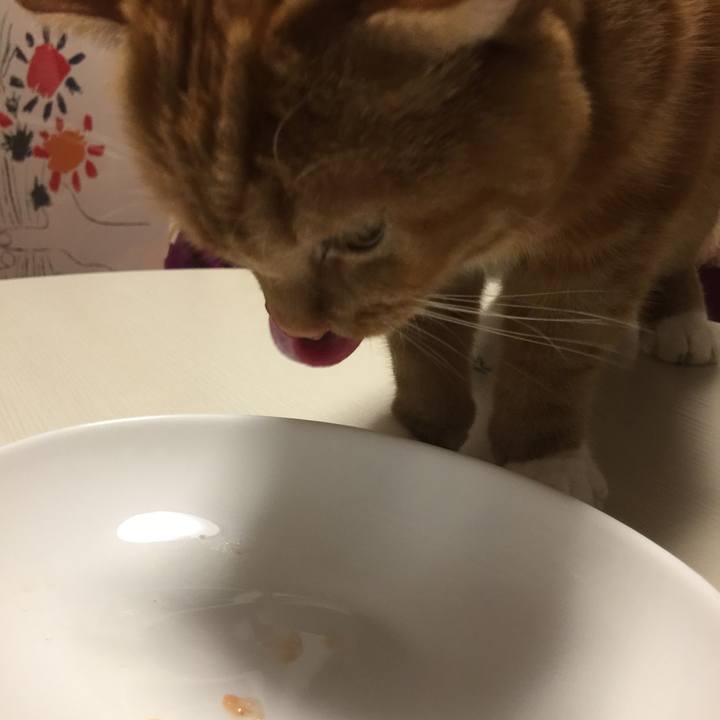 4f9195d6 3b86 4529 b285 222bf55c56af 1545057806293