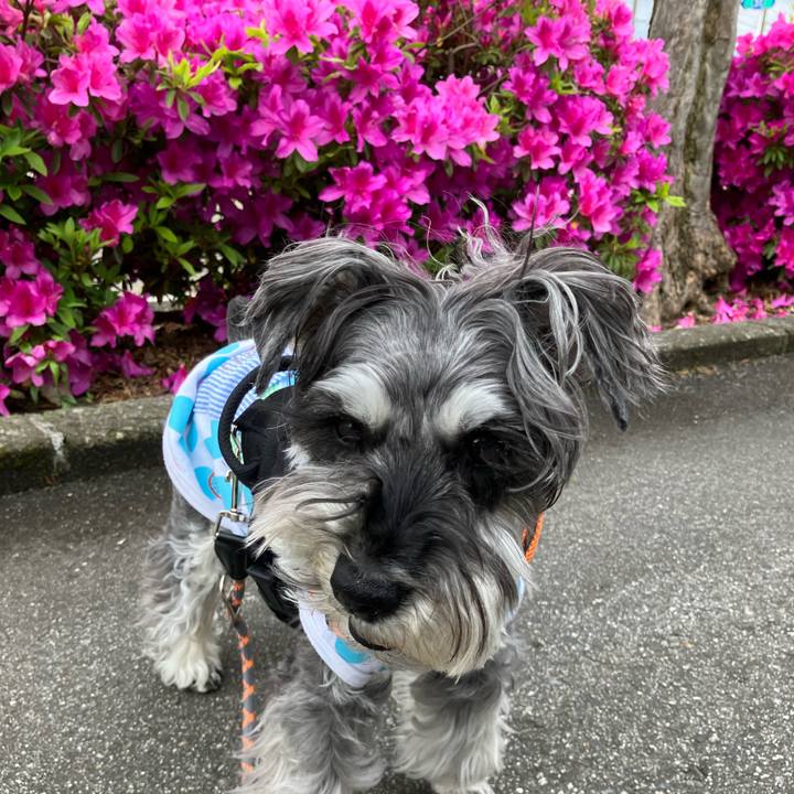 4f91f6b5 94c5 4c55 bc92 a16131e20236 1746941400389