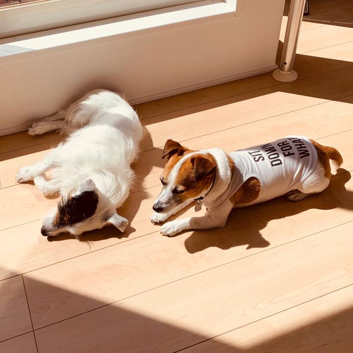 4f920af7 65f9 41e5 aecb 9abf8ff11ef0 1587616787461