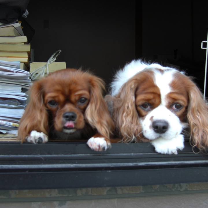 4f9291cb c6bb 4295 b314 942efbf2c0ba 1558246398626