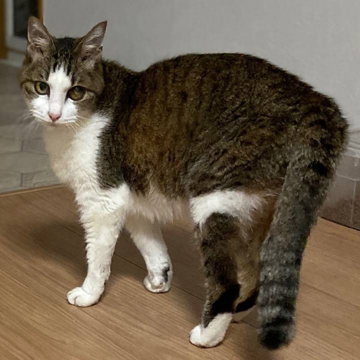 4f92c9b8 c911 4d50 857d 4810212f13b5 1574500553971