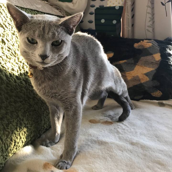 4f92ceed 4a9b 408b af30 ef5090f5af60 1516179870166