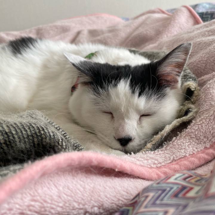 4f92edff 1ef4 4fae a92d 380346cdbef6 1638074221473