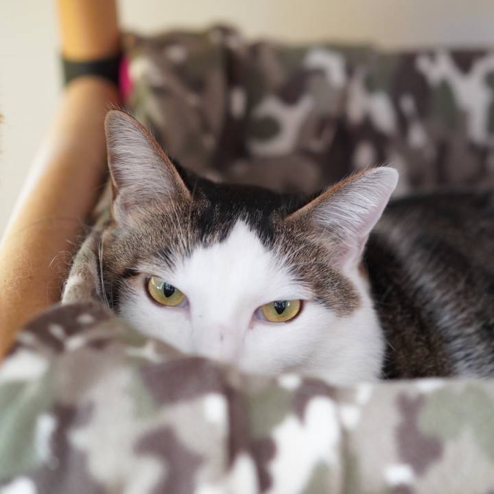 4f92f3af f8b8 406b 83fb 542f0f719caf 1576934131787