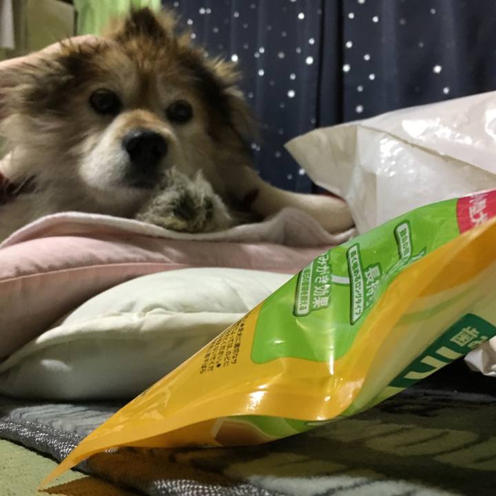 4f9306ca 5778 44fa 853a fdcda86e7ab4 1598229803476