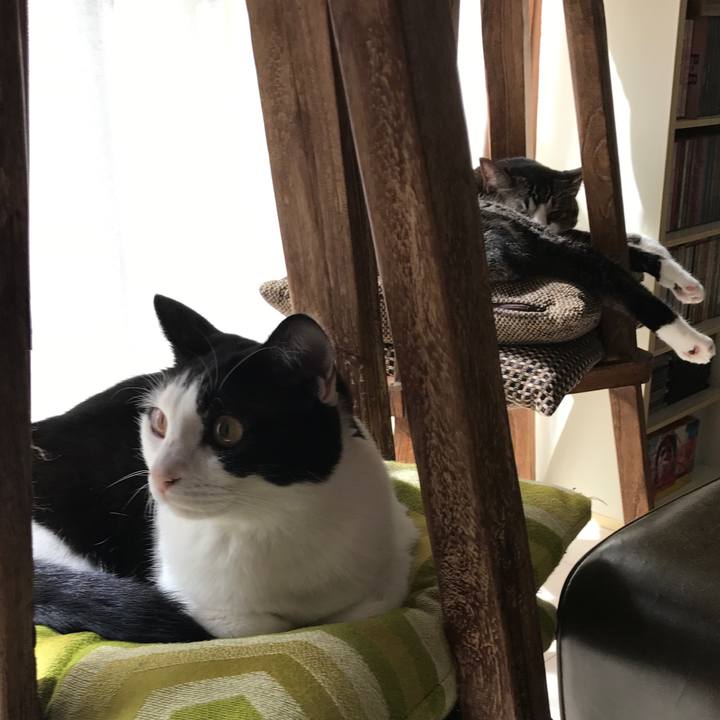 4f932cbd c716 4966 b6af e6574c6563f0 1507811891453