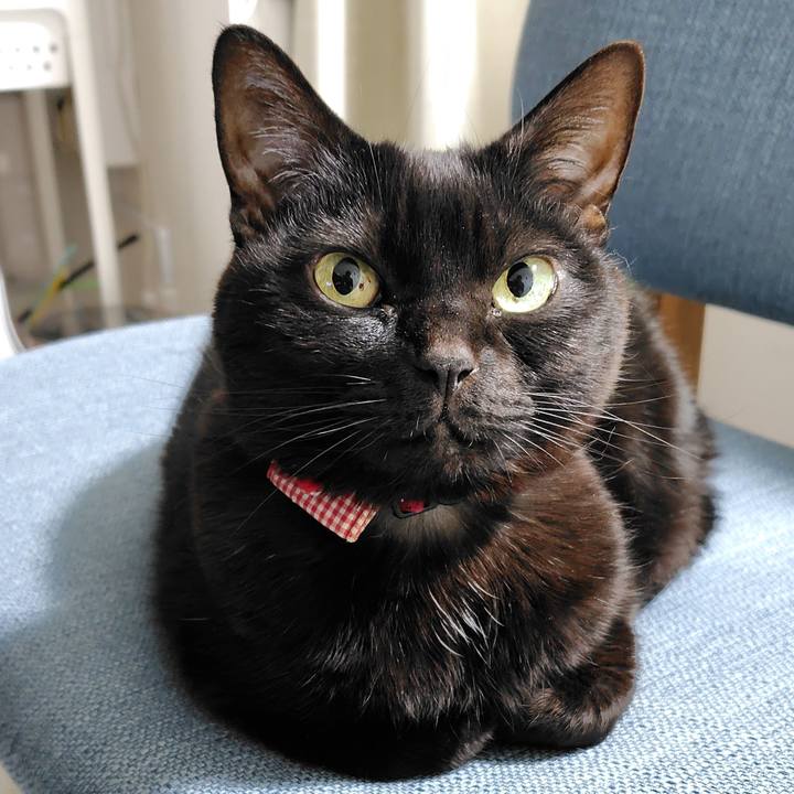 4f933002 9d22 4bb0 a921 1273b36c555d 1773749578713