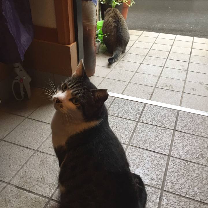 4f93344b 0629 4247 bf6a 9e7f985ed5aa 1508557608499