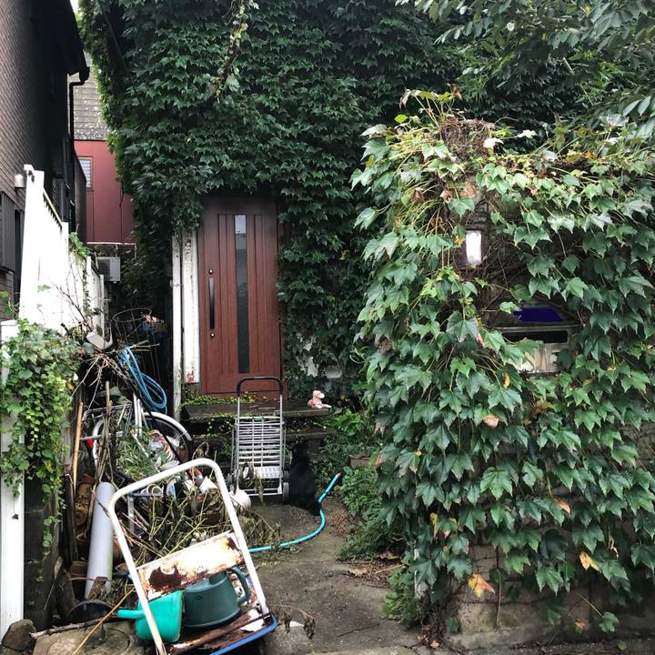 4f935db5 dc32 4b82 88dd 16aa63cdd414 1569072030681