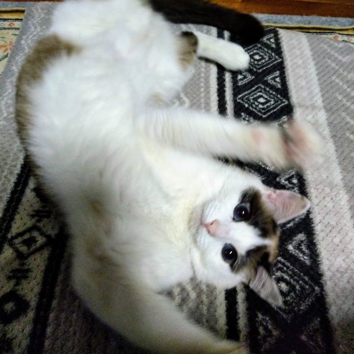 4f937feb cec1 4e2f b0be 3bd75b9aab26 1622518750221