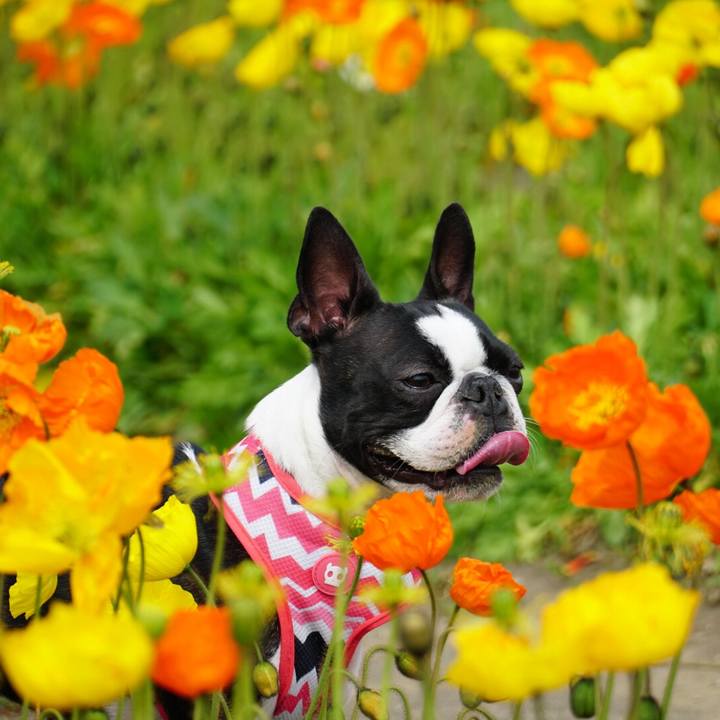 4f939041 6d38 47a1 9778 01358ca72656 1553260473395