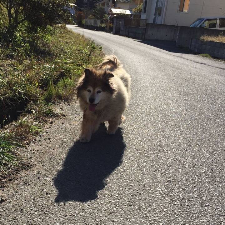 4f93945a be22 4419 888d 887b8d5b71a9 1561729529998