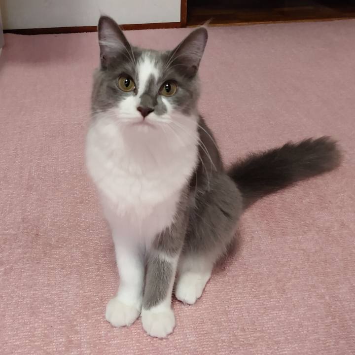 4f9395d8 da52 4843 ae44 a6e62091f5fc 1570056072626