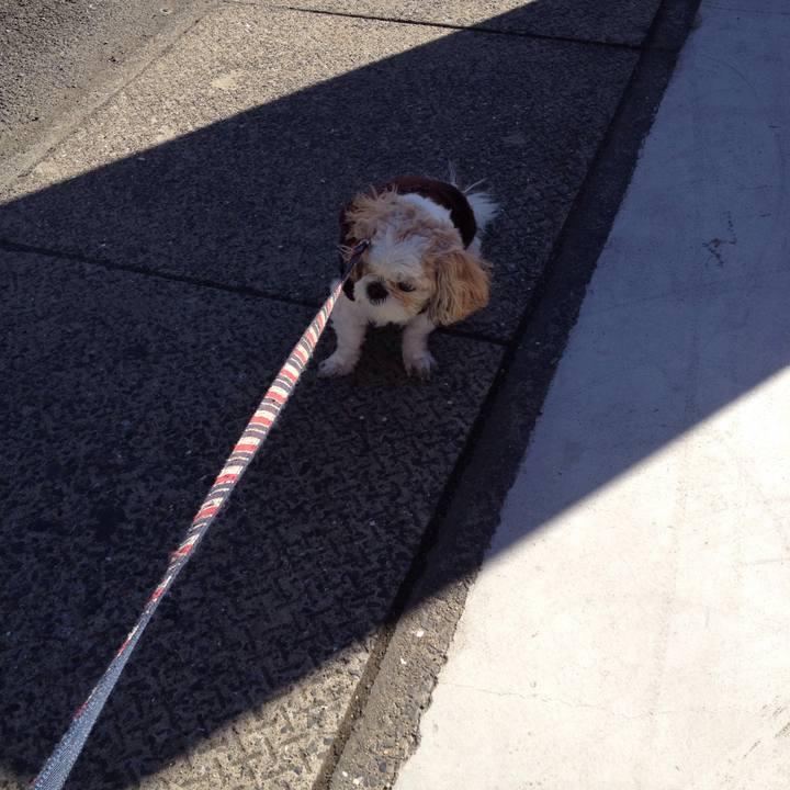 4f93ae14 4370 4d67 9f78 fa2ec9c0dcc8 1511127549339