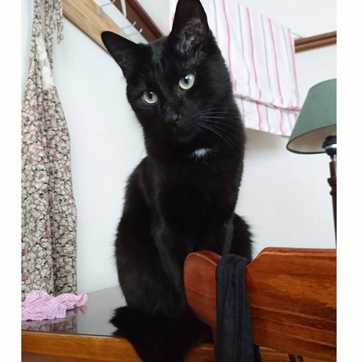 4f93eae6 8db2 45c4 ba2c 2d897839ceb9 1553303335702